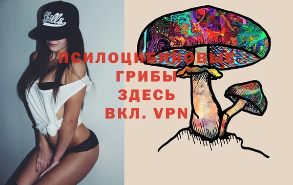 гидропоника Белокуриха