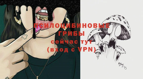 скорость Баксан