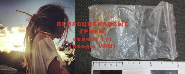 гидропоника Белокуриха