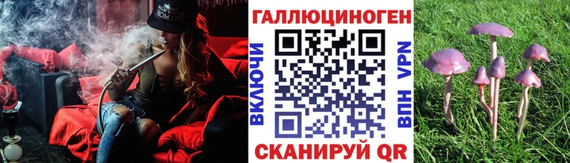 Псилоцибиновые грибы мицелий  магазин продажи наркотиков  MEGA ссылки  Тимашёвск 